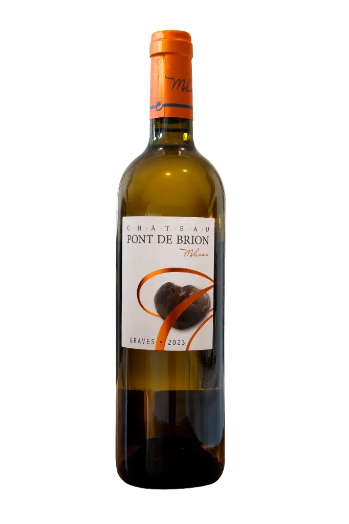 Chateau Pont de Brion 2023