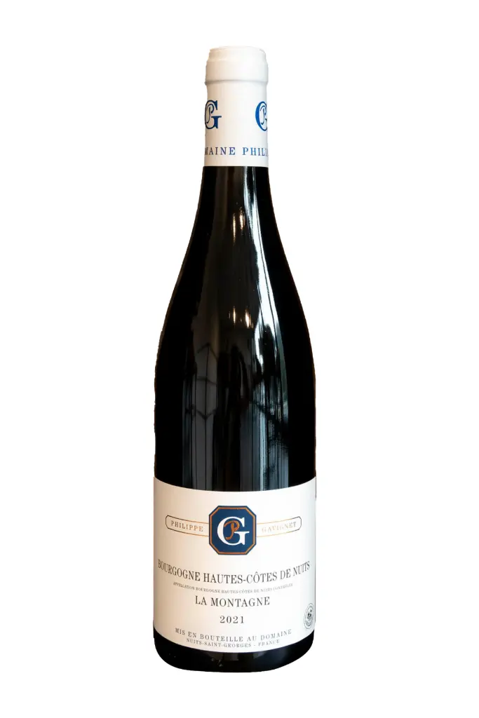 Bourgogne Hautes - Côtes de Nuits "La Montagne" 2021 Philippe Gavignet