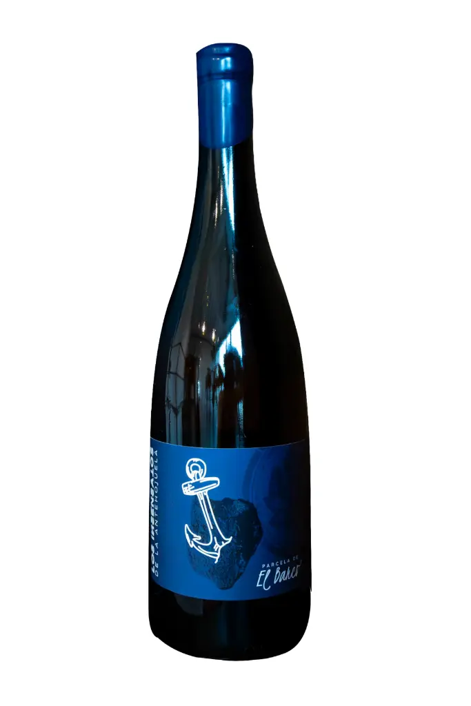 Los Insensatos El Barco 2022 