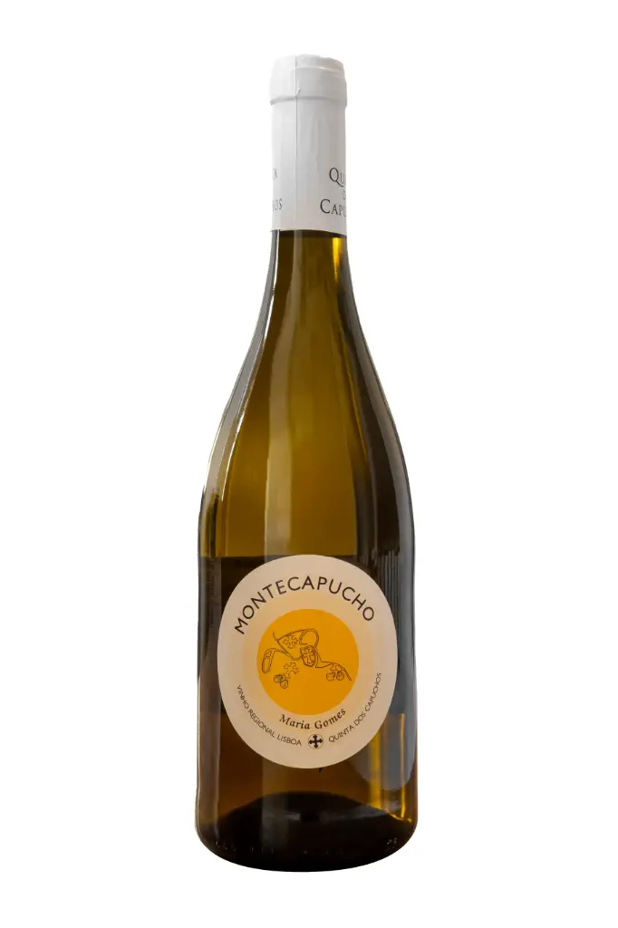 Montecapucho Maria Gomes  Curtimenta 2021