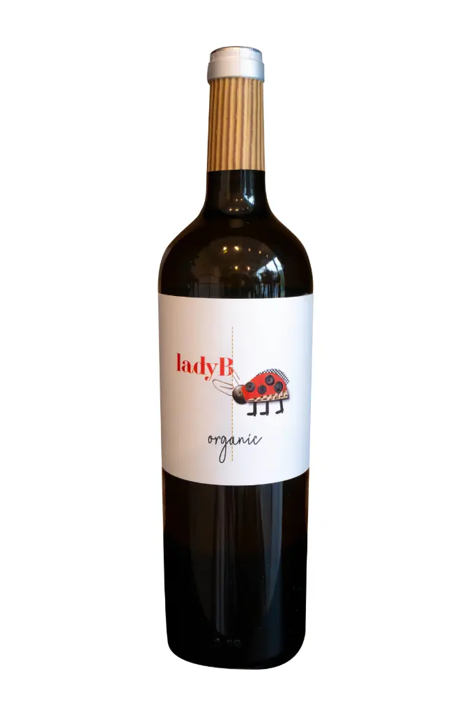 Bodega Antonio Candela "Lady B"