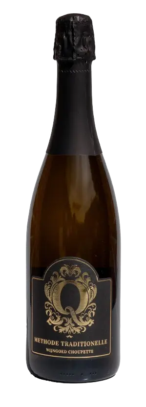 Choupette Q2023