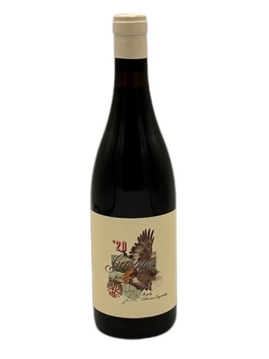 [12304F] Van Loggerenberg Geronimo 