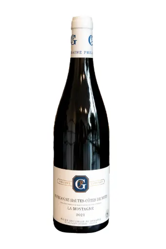 [12126F] Bourgogne Hautes - Côtes de Nuits "La Montagne" 2021 Philippe Gavignet